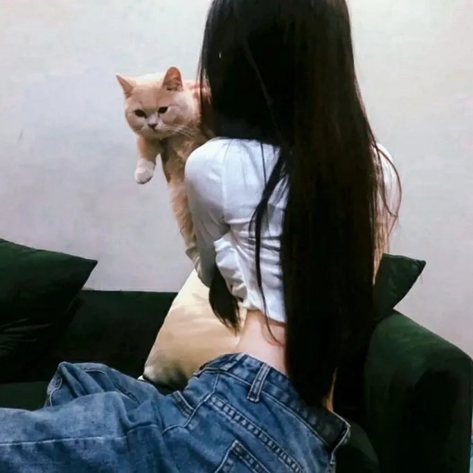 行窃大师 在线观看